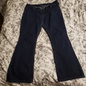 Maurice's 16w reg bootcut jeans